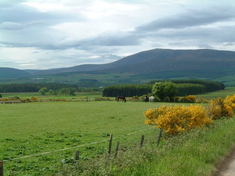 Speyside